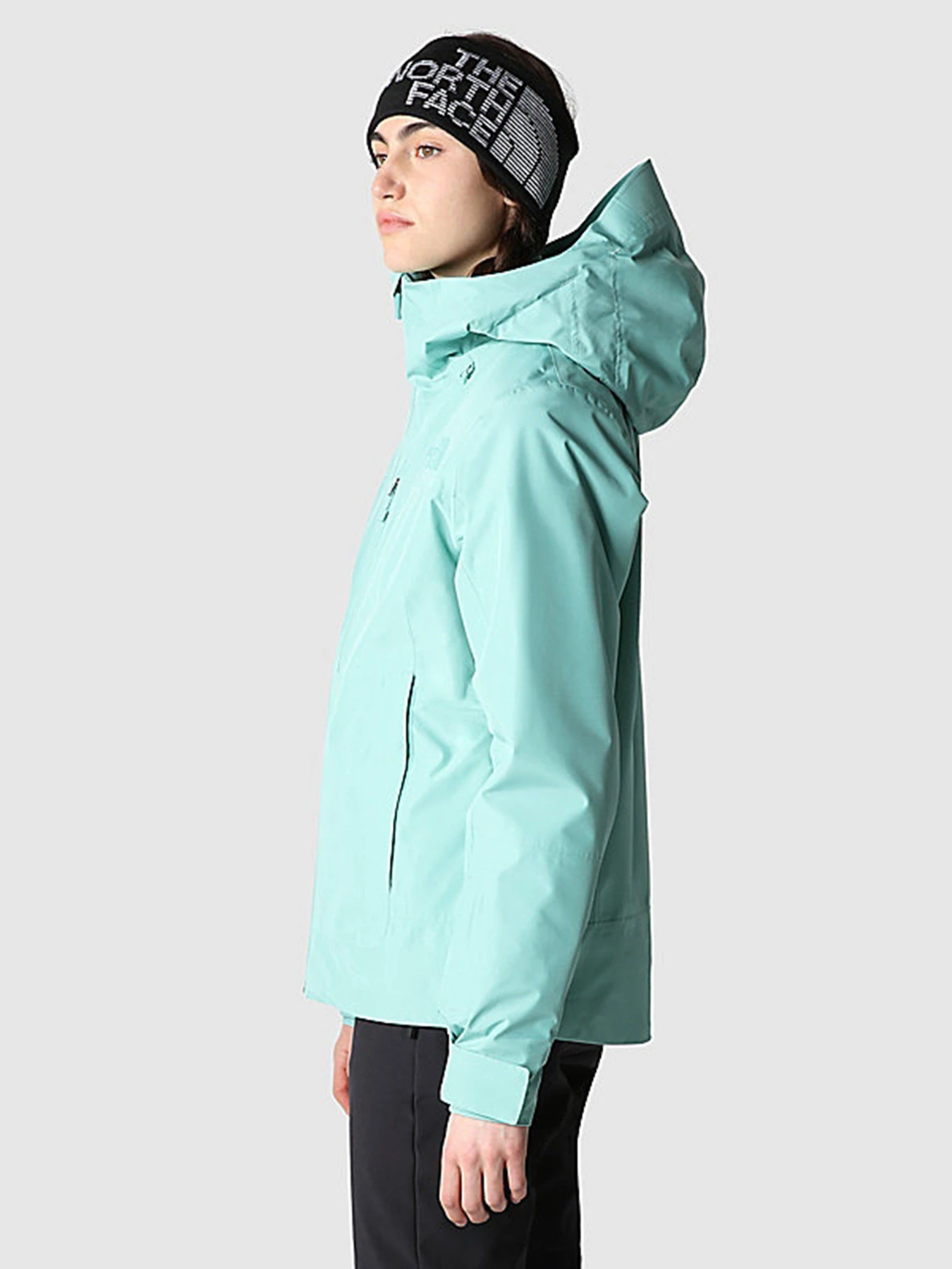Куртки и дубленки The North Face Descendit модель NF0A4R1R6R71 Фото