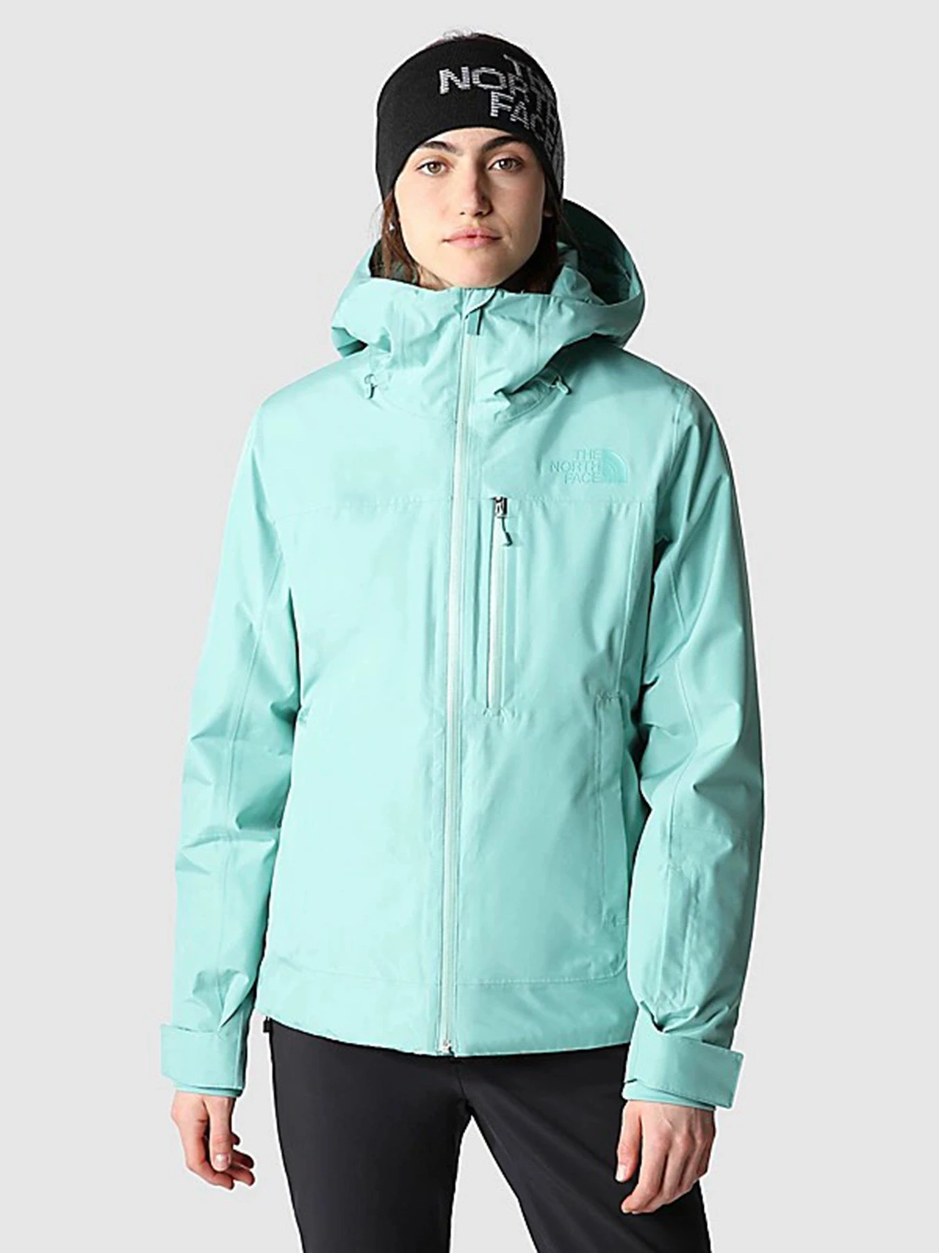 Куртки и дубленки The North Face Descendit модель NF0A4R1R6R71 Фото