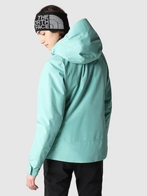Куртки и дубленки The North Face Descendit модель NF0A4R1R6R71 Фото