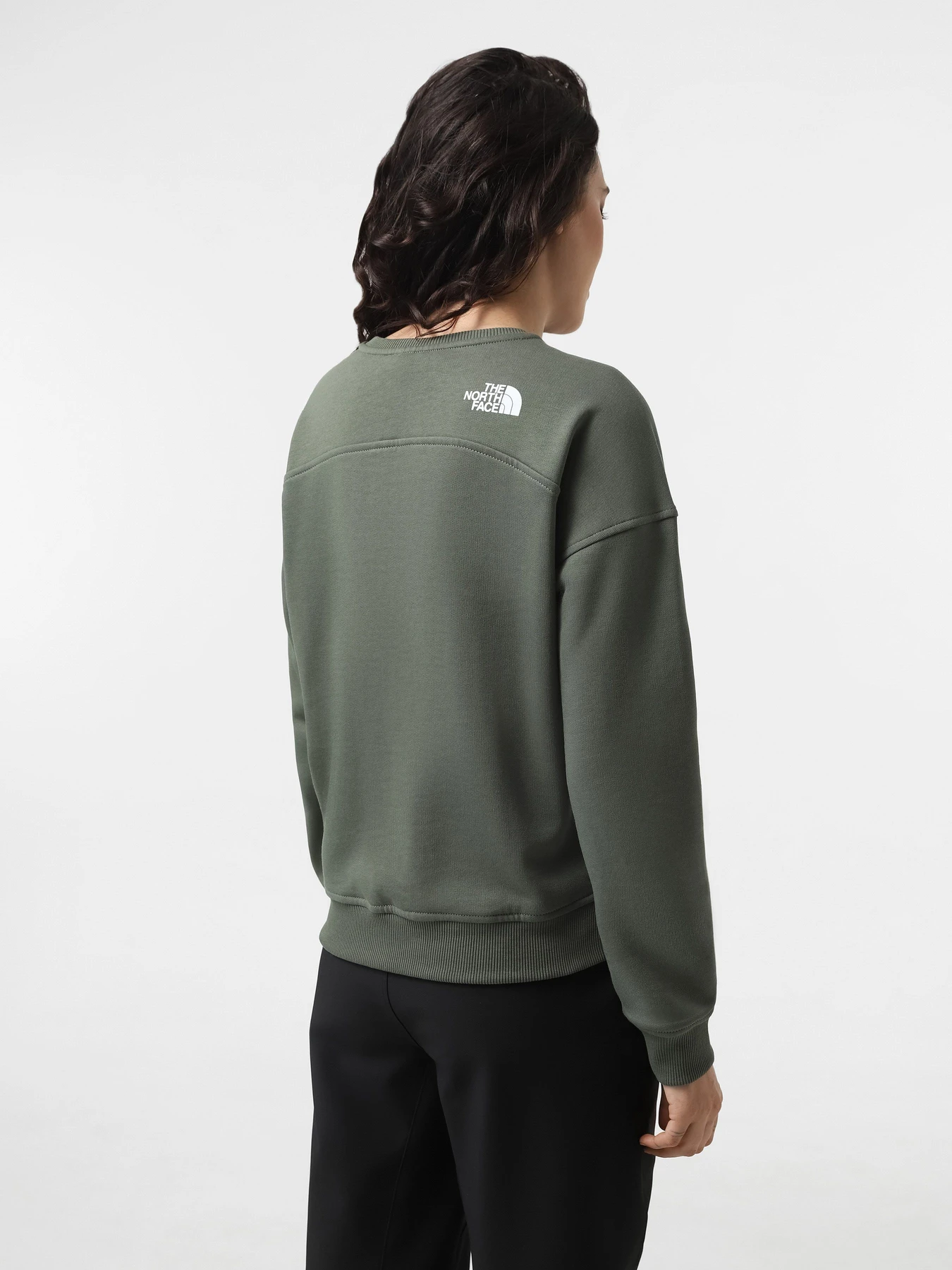 Худи и свитшоты The North Face Drew Peak Crew модель NF0A3S4GNYC1 Худи и свитшоты The North Face Drew Peak Crew модель NF0A3S4GNYC1 Фото