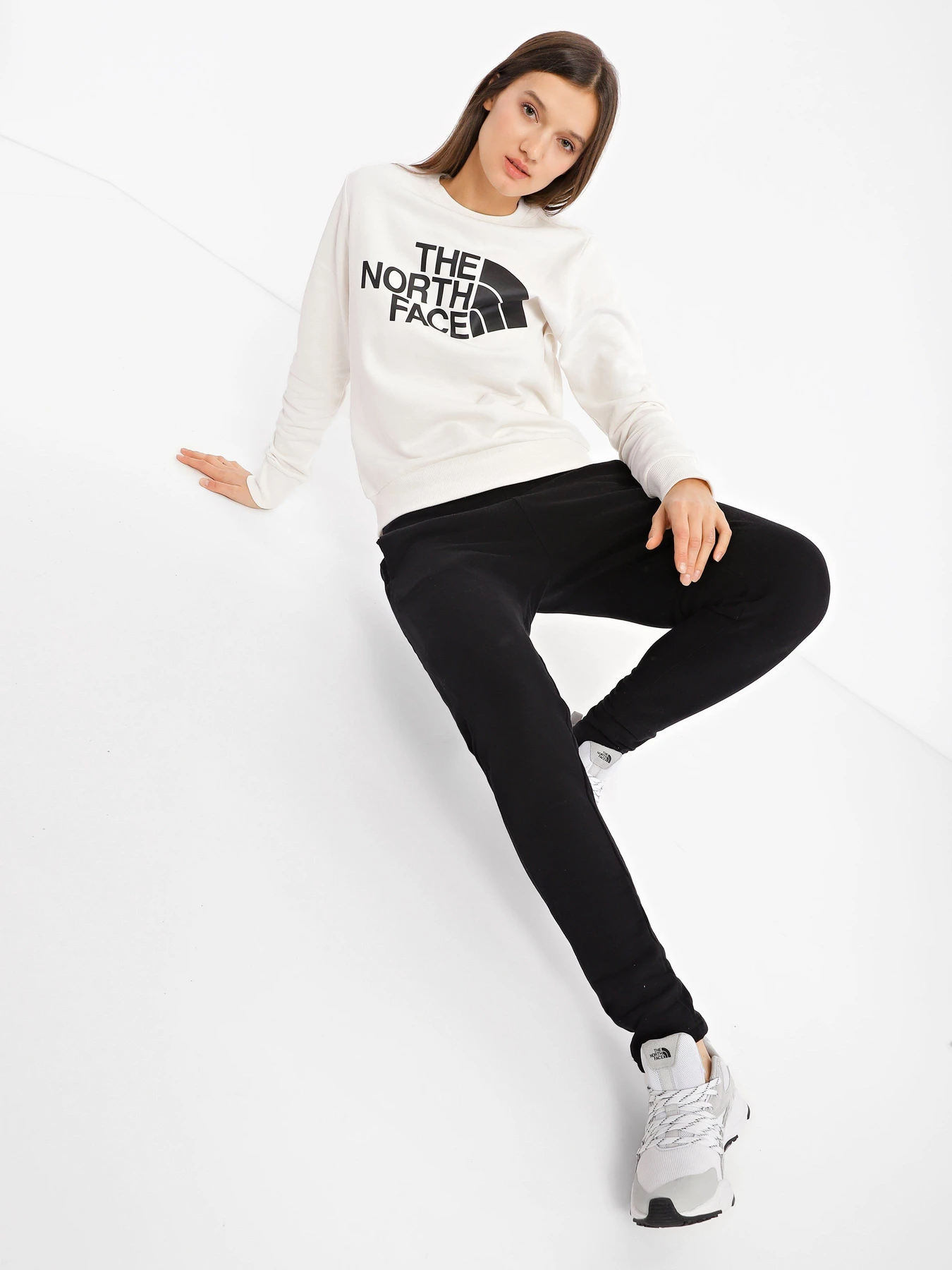 Худи и свитшоты The North Face Standard модель NF0A4M7EN3N1 Худи и свитшоты The North Face Standard модель NF0A4M7EN3N1 Фото