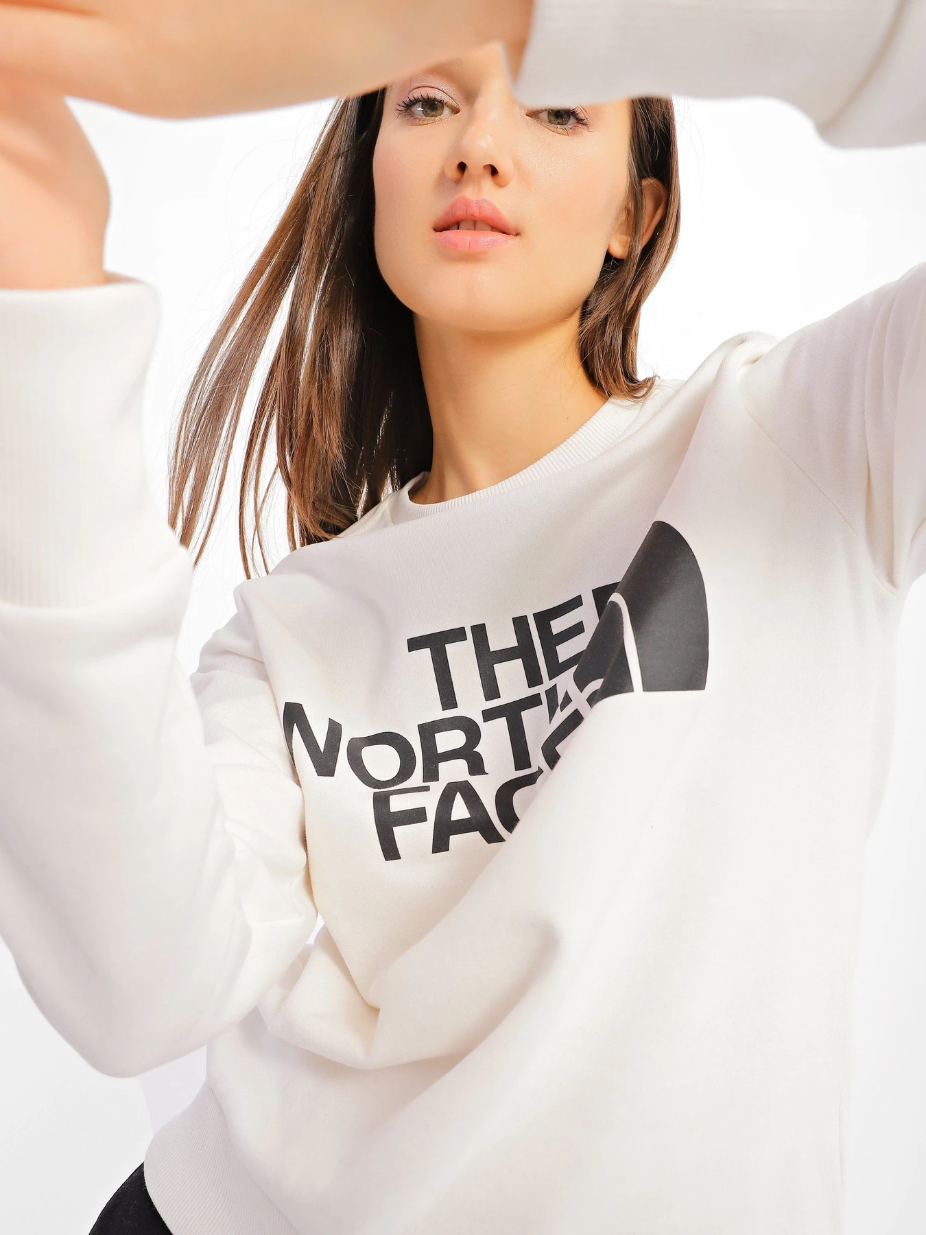 Худи и свитшоты The North Face Standard модель NF0A4M7EN3N1 Худи и свитшоты The North Face Standard модель NF0A4M7EN3N1 Фото