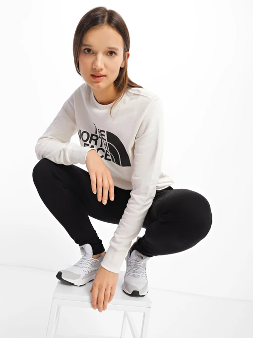 Худи и свитшоты The North Face Standard модель NF0A4M7EN3N1 Фото