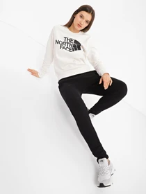 Худи и свитшоты The North Face Standard модель NF0A4M7EN3N1 Фото