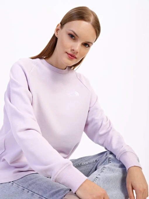 Худи и свитшоты The North Face Oversize модель NF0A55GR6S11 Фото
