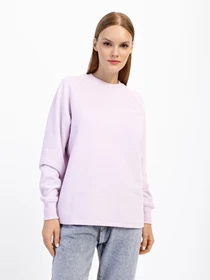 Худи и свитшоты The North Face Oversize модель NF0A55GR6S11 Фото