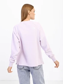 Худи и свитшоты The North Face Oversize модель NF0A55GR6S11 Фото