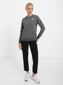Худи и свитшоты The North Face Seasonal Fine модель NF0A7X3DDYY1 Фото