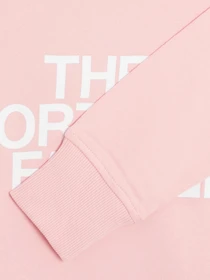 Худи и свитшоты The North Face Standard модель NF0A4M7C6R01 Фото