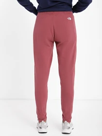 Брюки The North Face Nse модель NF0A55GS6R41 Фото