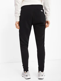Брюки The North Face Nse модель NF0A55GSJK31 Фото