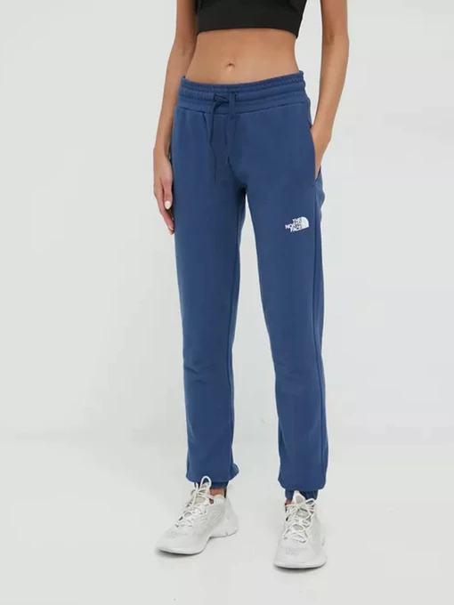 Брюки The North Face Standard модель NF0A5ID4HDC1 Фото