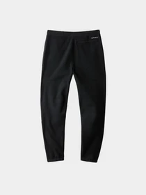 Брюки The North Face Denali модель NF0A7WXXJK31 Фото