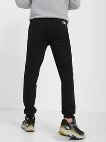 Брюки The North Face Icon модель NF0A7X1WJK31 Фото