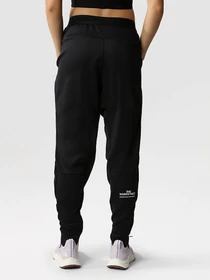 Брюки The North Face Training Fleece модель NF0A7ZAVJK31 Фото