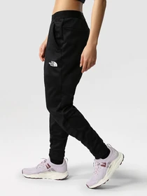 Брюки The North Face Training Fleece модель NF0A7ZAVJK31 Фото