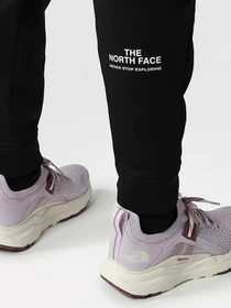 Брюки The North Face Training Fleece модель NF0A7ZAVJK31 Фото