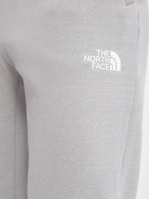 Брюки The North Face Training Fleece модель NF0A7ZAVDYX1 Фото