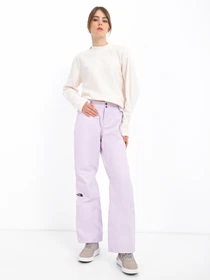 Брюки The North Face Sally Pant модель NF0A3M5J6S11 Фото