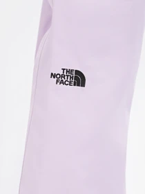 Брюки The North Face Sally Pant модель NF0A3M5J6S11 Фото
