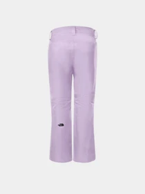 Брюки The North Face Sally Pant модель NF0A3M5J6S11 Фото