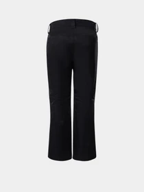Брюки The North Face Sally Pant модель NF0A3M5JJK31 Фото
