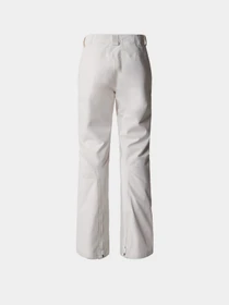 Брюки The North Face LENADO модель NF0A4R1IN3N1 Фото