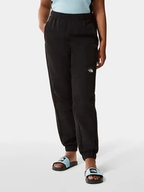 Брюки The North Face Black Box модель NF0A7R23JK31 Фото