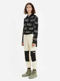 Брюки The North Face модель NF0A7UR53X41 Фото