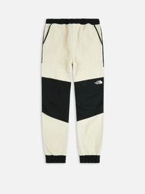 Брюки The North Face модель NF0A7UR53X41 Фото