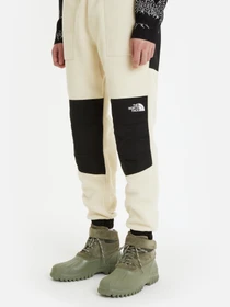 Брюки The North Face модель NF0A7UR53X41 Фото