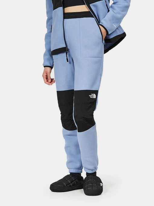 Брюки The North Face модель NF0A7WXX73A1 Фото