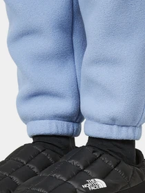 Брюки The North Face модель NF0A7WXX73A1 Фото