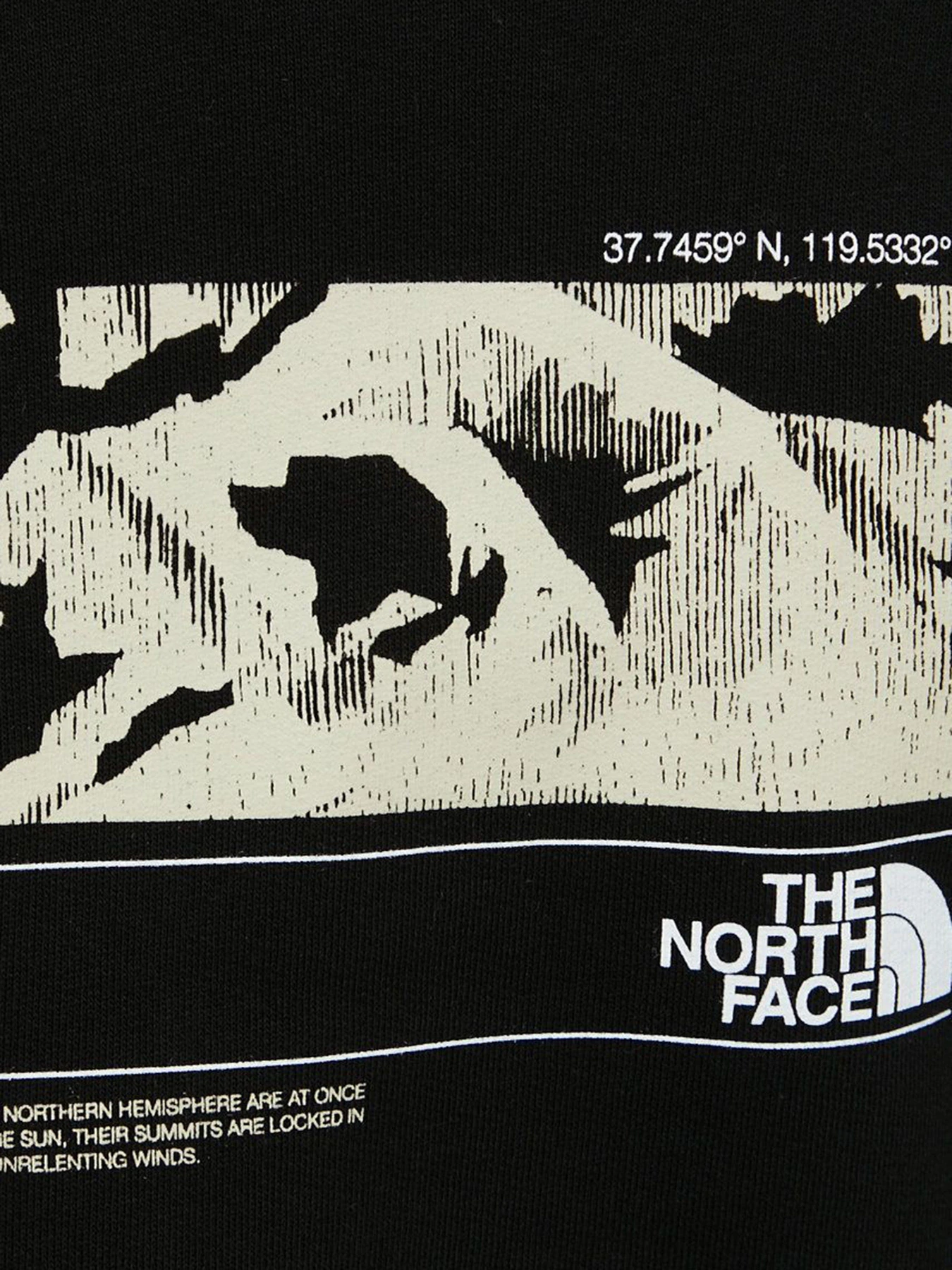 Худи и свитшоты The North Face модель NF0A7ZL8JK31 Фото