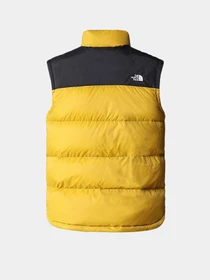 Куртки и дубленки The North Face Diablo Down Gilet модель NF0A4M9K81U1 Фото