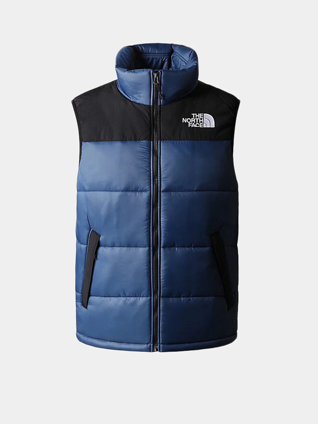 Куртки и дубленки The North Face Bombay Vest модель NF0A4QZ4HDC1 Фото
