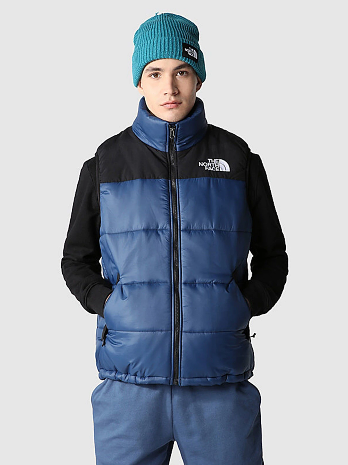 Куртки и дубленки The North Face Bombay Vest модель NF0A4QZ4HDC1 Фото