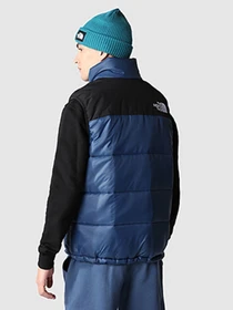 Куртки и дубленки The North Face Bombay Vest модель NF0A4QZ4HDC1 Фото