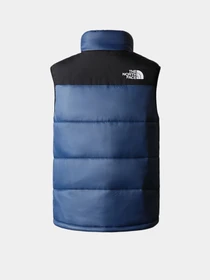 Куртки и дубленки The North Face Bombay Vest модель NF0A4QZ4HDC1 Фото