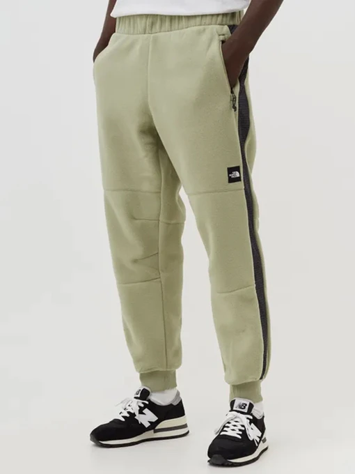 Брюки The North Face Convin Microfleece модель NF0A7X353X31 Фото