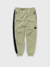 Брюки The North Face Convin Microfleece модель NF0A7X353X31 Фото