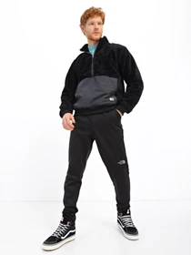 Худі та світшоти The North Face Ridge Fleece модель NF0A5A82JK31 Фото