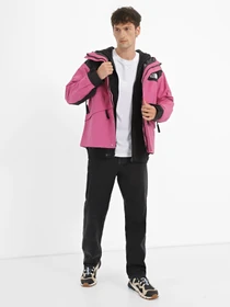 Куртки и дубленки The North Face 86 Retro модель NF0A7UR97481 Фото