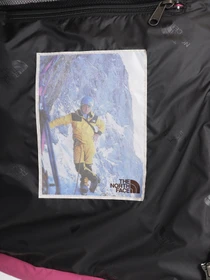 Куртки и дубленки The North Face 86 Retro модель NF0A7UR97481 Фото