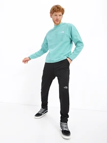 Худи и свитшоты The North Face TKA Mockneck модель NF0A7URC6R71 Фото