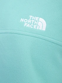 Худи и свитшоты The North Face TKA Mockneck модель NF0A7URC6R71 Фото