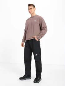 Худи и свитшоты The North Face TKA Mockneck модель NF0A7URCEFU1 Фото