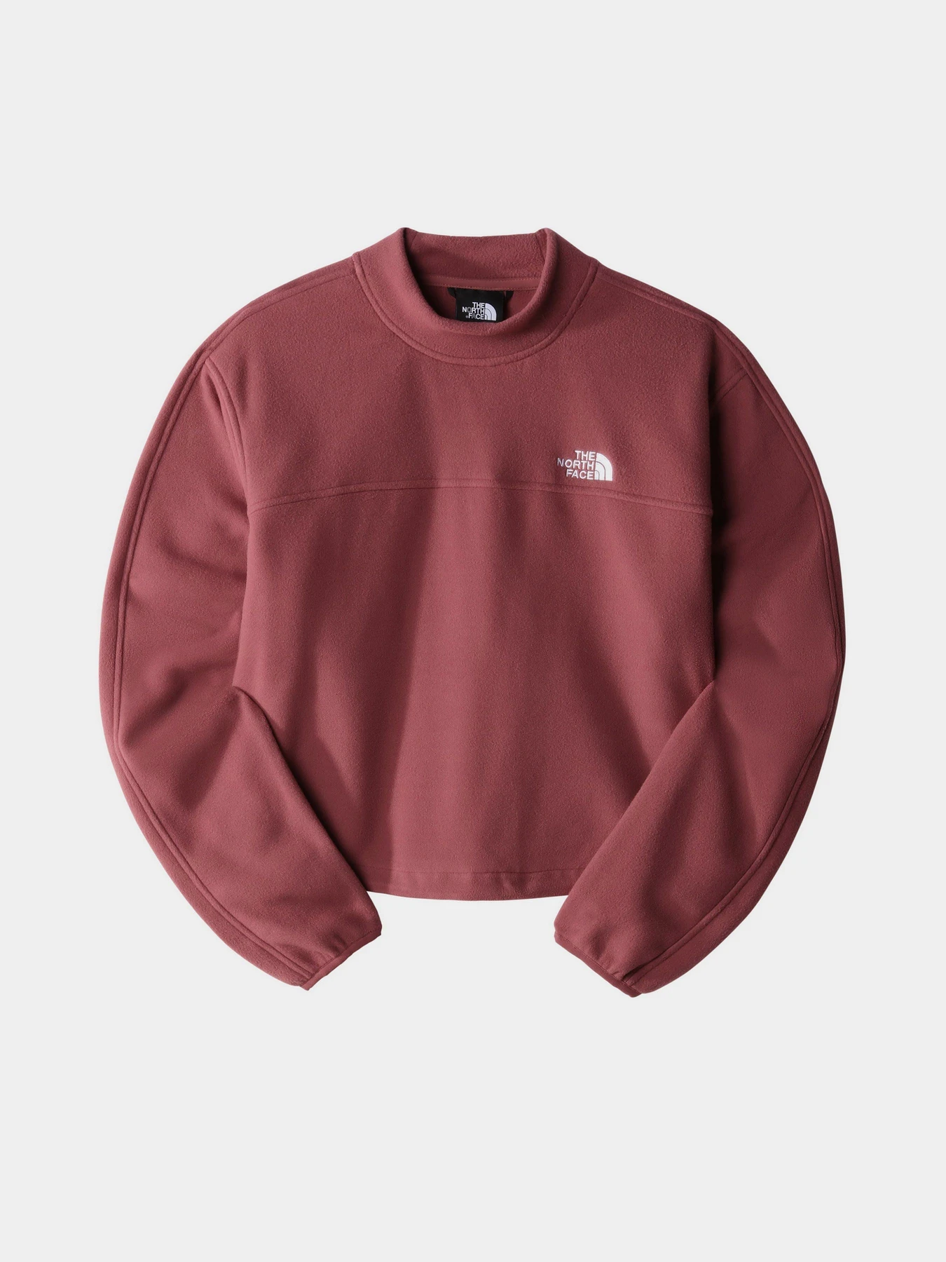 Худи и свитшоты The North Face TKA Mock Neck модель NF0A7URD6R41 Фото