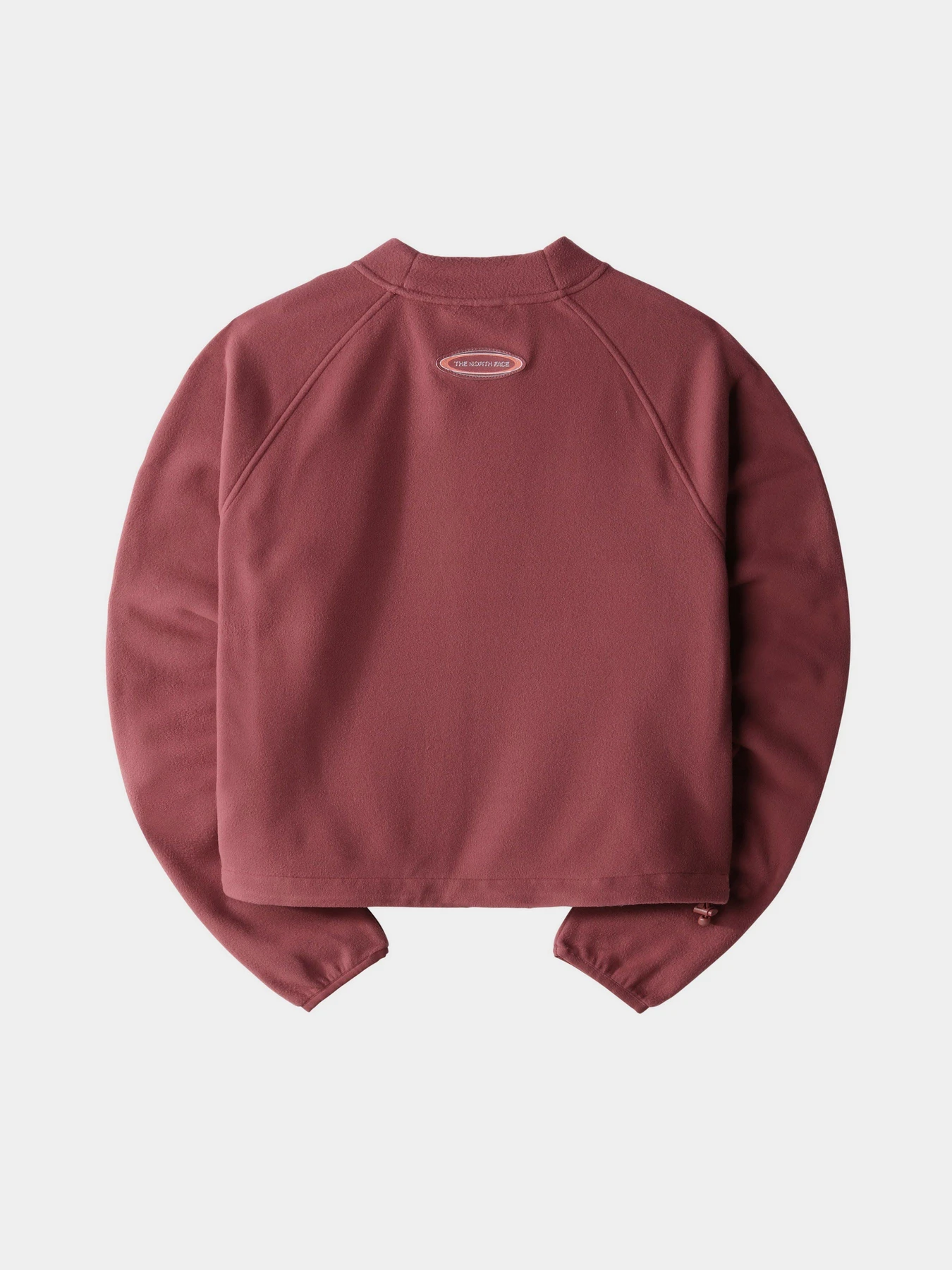 Худи и свитшоты The North Face TKA Mock Neck модель NF0A7URD6R41 Фото