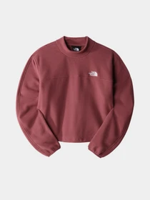 Худи и свитшоты The North Face TKA Mock Neck модель NF0A7URD6R41 Фото